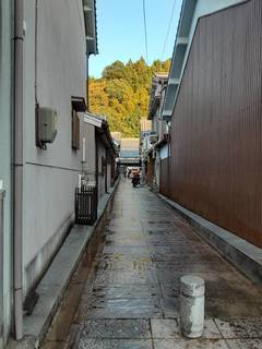 8596.jpg